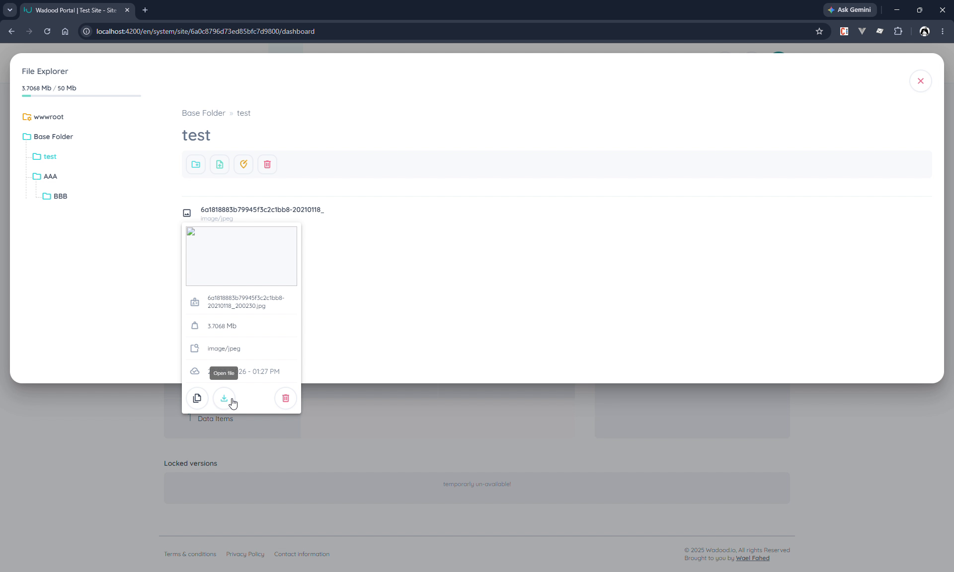File details and actions