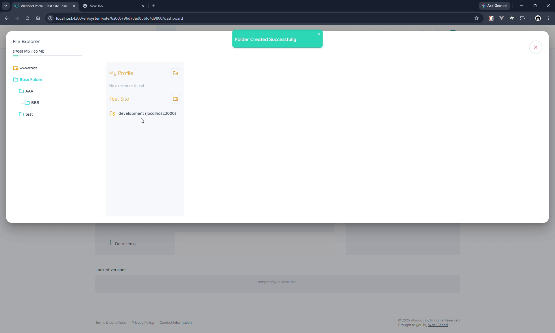 wwwroot environment-root folders