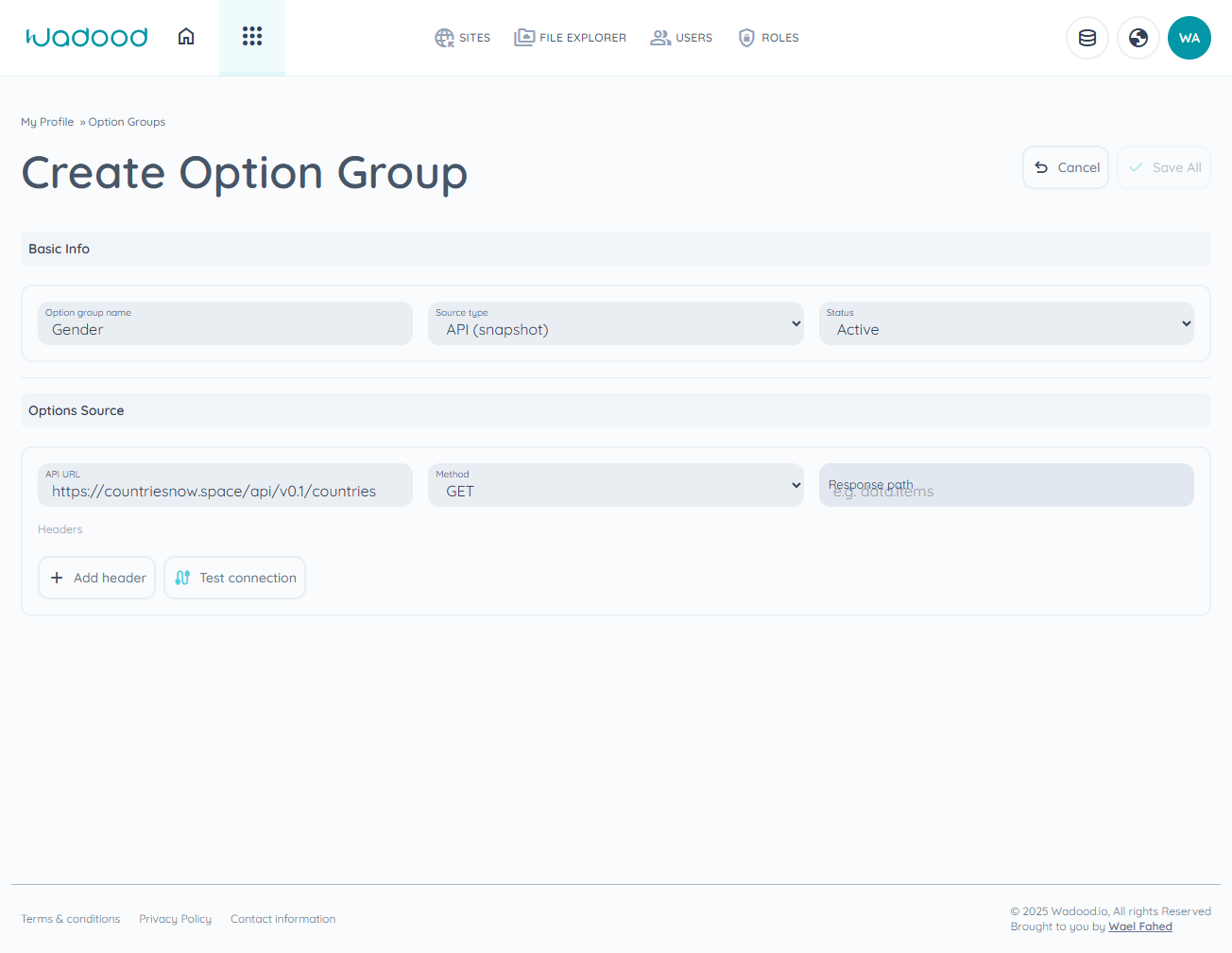 Create option group — API source
