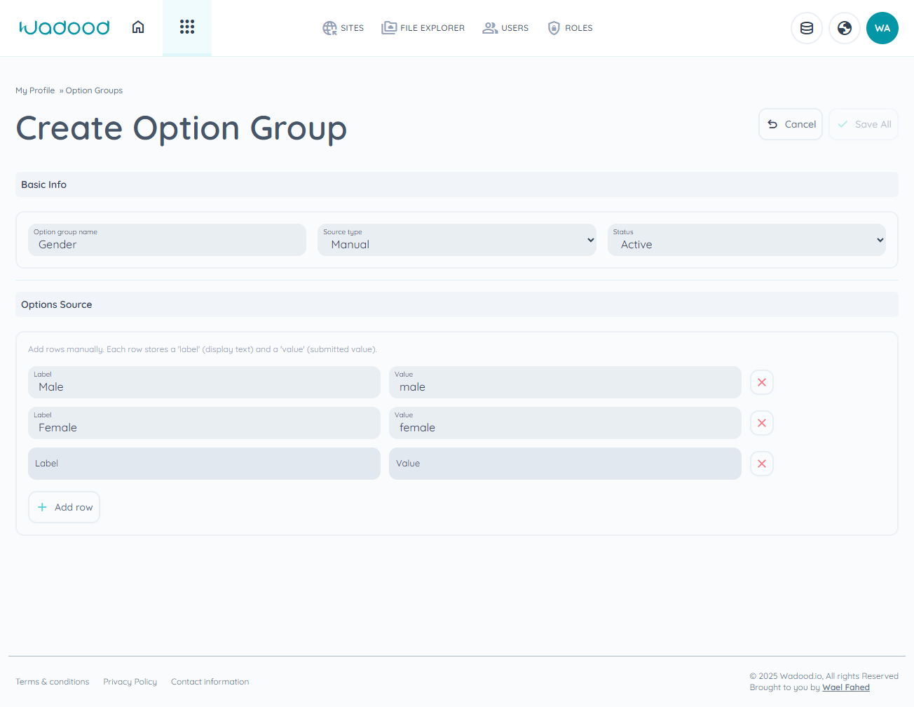 Create option group — manual