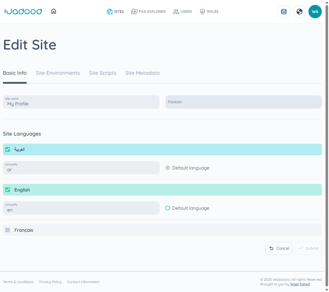 Add/Edit Site — tabs and languages